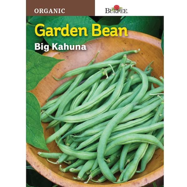 Burpee Bean Bush Snap Big Kahuna Organic Seed
