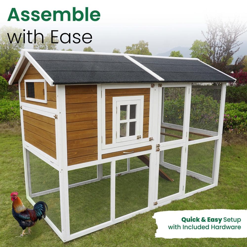 Large White and Brown Wooden Chicken Coop with Asphalt Roof