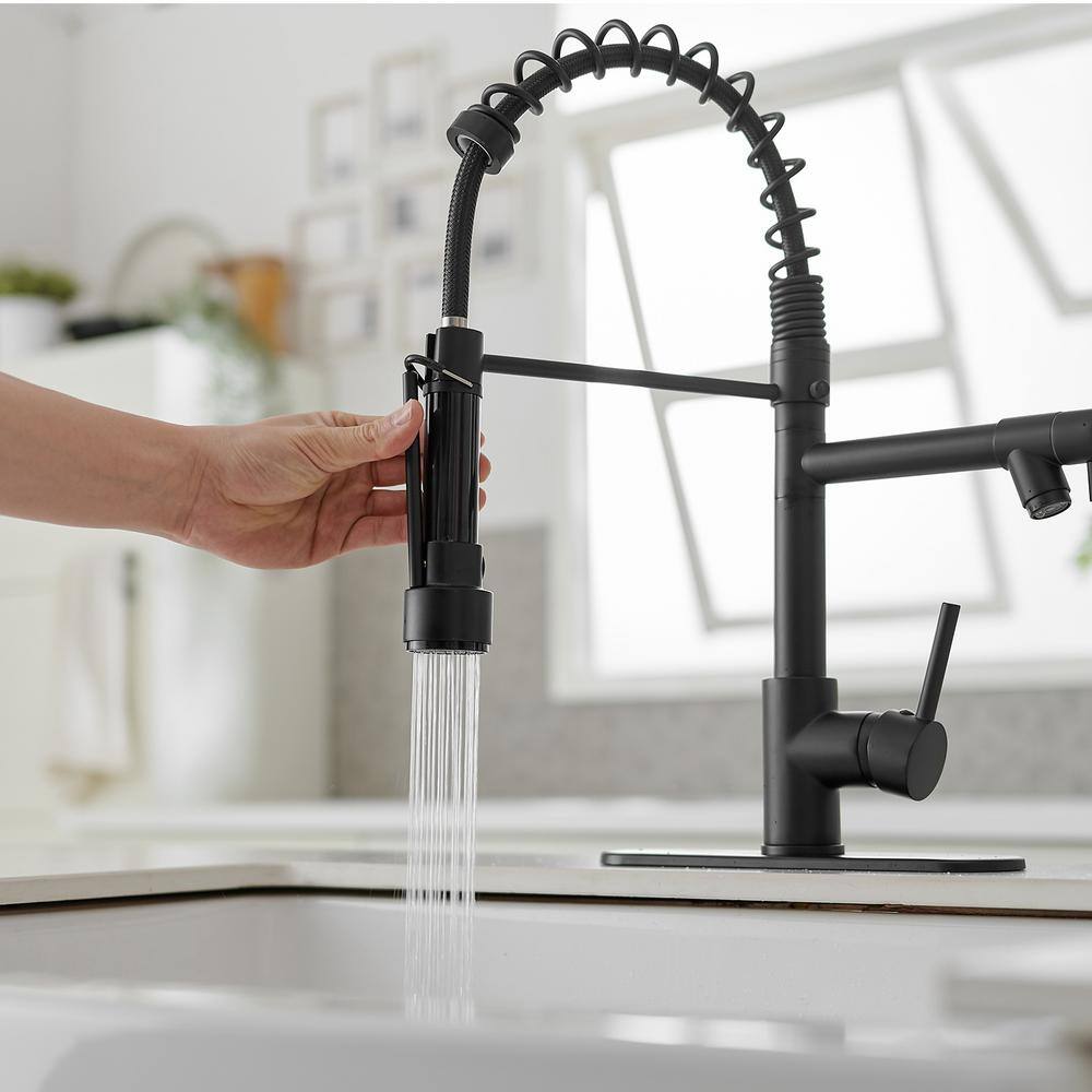 Matte Black High-Arc Kitchen Faucet with Pull-Out Spray