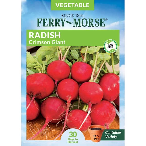 Ferry-Morse Radish Crimson Giant Vegetable Seed