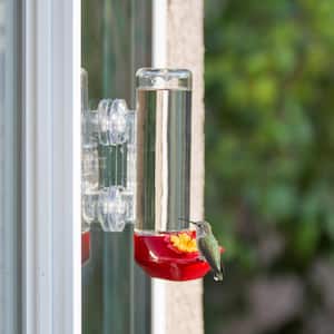 Kingfisher Clear Plastic Window Bird Feeder Suction Fit to Glass 