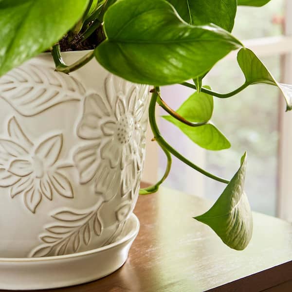 Vigoro Lorelai Medium White Floral Ceramic Planter with Drainage Hole and  Attached Saucer (9.3 in. L x 9.3 in. W x 8.1 in. H) 527408 - The Home Depot