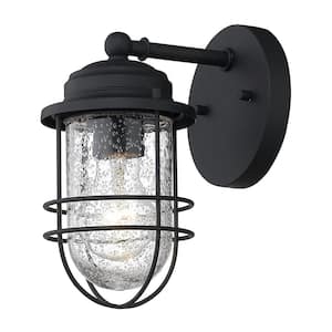 Seaport 1-Light Natural Black (UV) Outdoor Wall Lantern Sconce