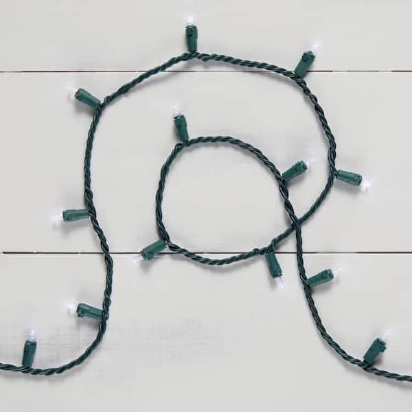 200 Count Cool White Dome LED Lights