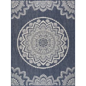 Blue/White 6 ft. x 9 ft. Medallion Indoor/Outdoor Area Rug