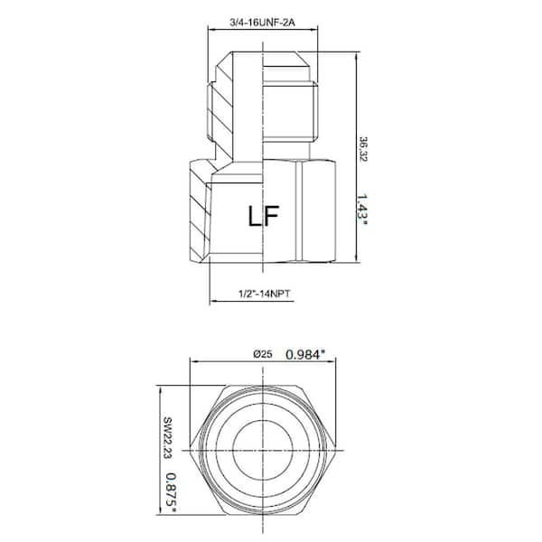 1/2 in. Flare x 1/2 in. FIP Brass Adapter Fitting