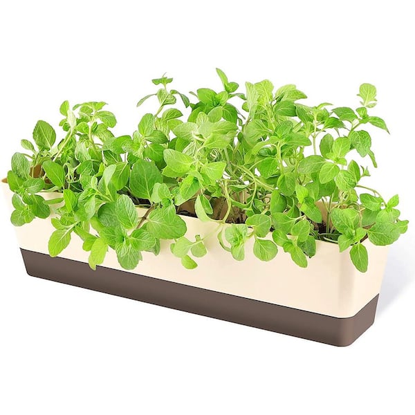 Cubilan Window Boxes, 1-Pack 16 in. x 3.8 in. Indoor Rectangle Planter, Herb Succulent Cactus Window Box with Saucer Plastic