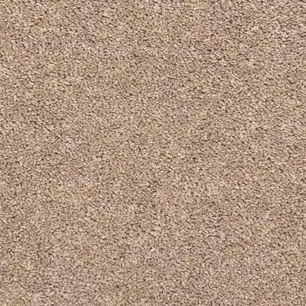 8 in. x 8 in. Texture Carpet Sample-Whisk & Whimsy II-Color Harmonious price history on PriceWatchPro