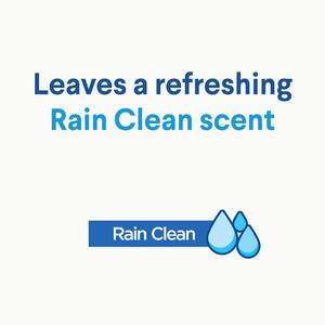 16 oz. Bathroom Ultra Foamer Rain Clean