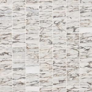 Alia Salazar 11.73 in. x 11.73 in. Honed Marble Mosaic Tile (0.95 sq. ft./Each)