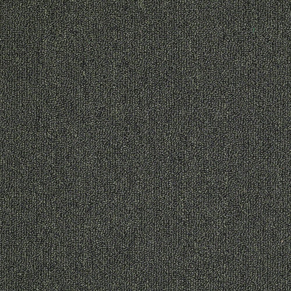 8 in. x 8 in. Berber Carpet Sample - Soma Lake - Color Lichen price history on PriceWatchPro
