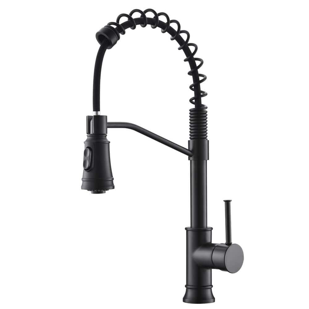 Single Handle Pull-Down Sprayer Kitchen Faucet with Dual Function Spray Hea