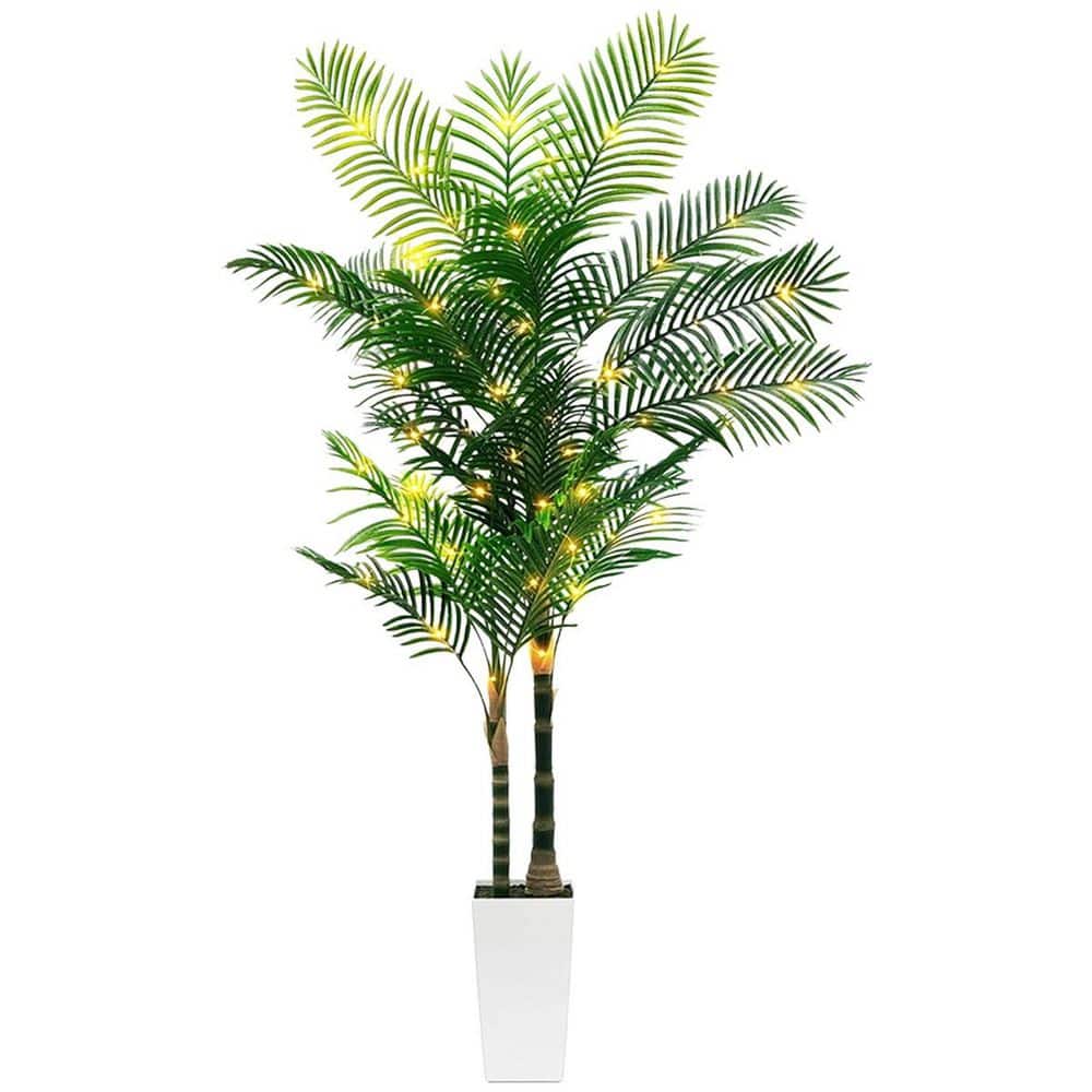 fungal plant spray Anti-Pest & Leaf Shine House Plant Spray main image 1