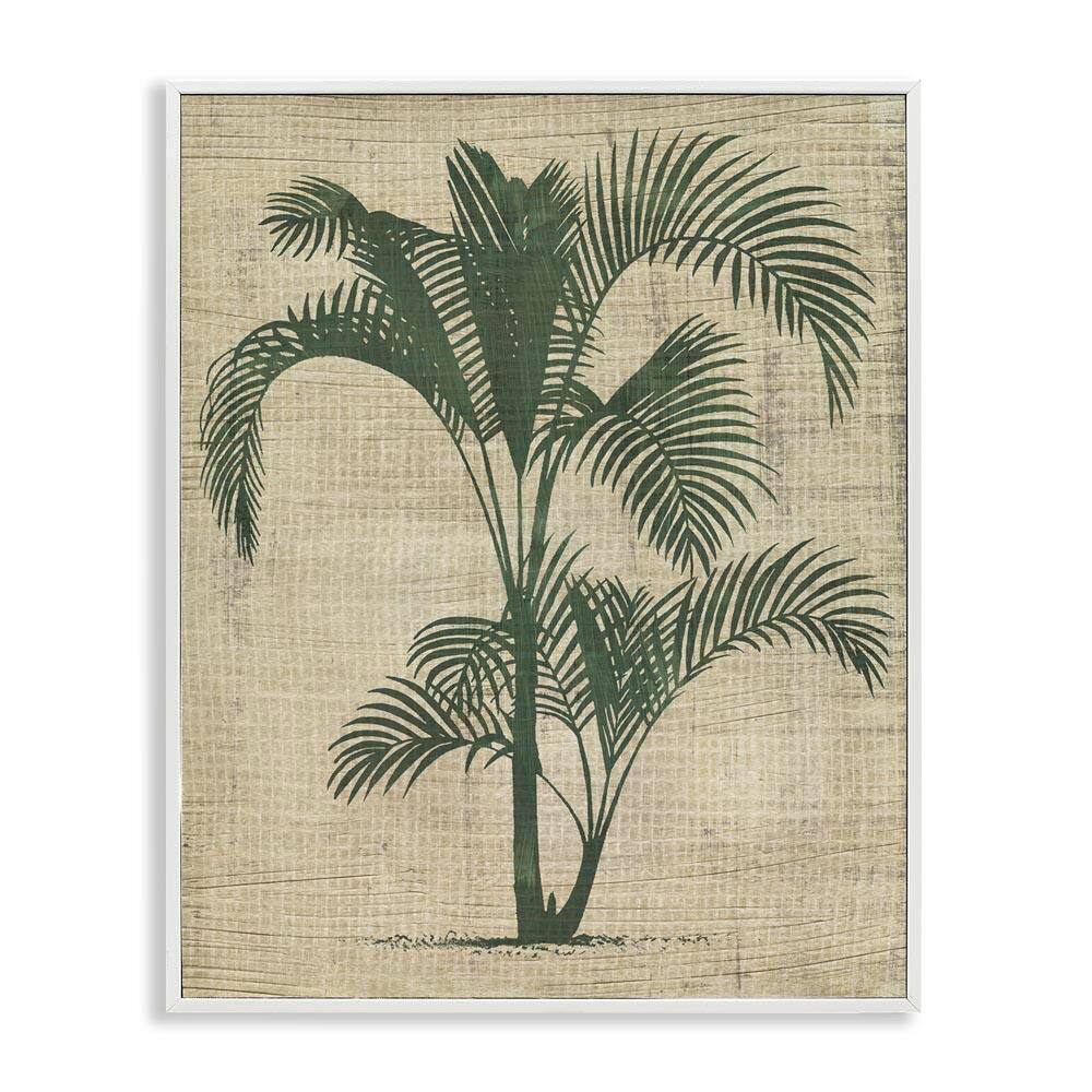 Palm on Woven Pattern by June Erica Vess White Framed Nature Giclee Art Print 20 in. x 16 in. price history on PriceWatchPro