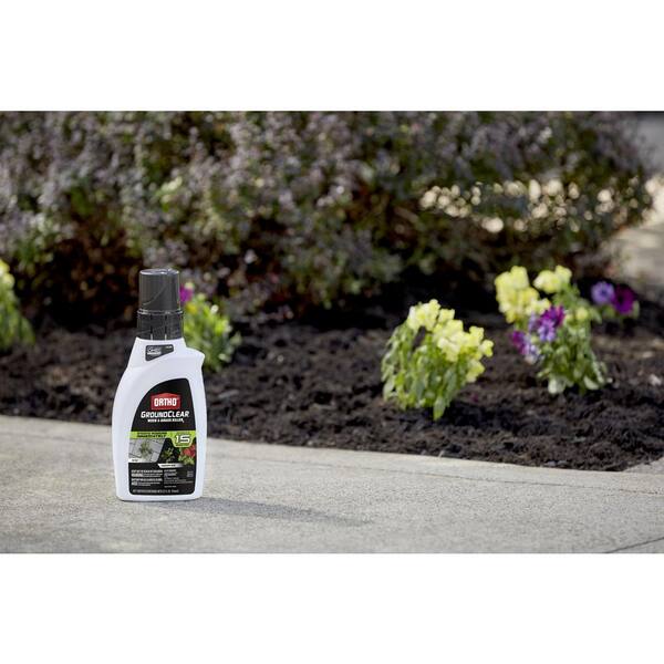 Ortho Groundclear 32 Oz Concentrate Weed And Grass Killer 465030605 The Home Depot
