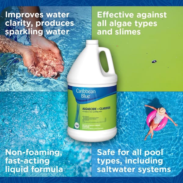 1 gal. Algaecide and Pool Clarifier
