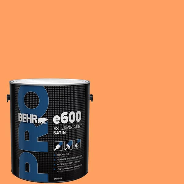 1 gal. #250B-5 Orange Spice Satin Exterior Paint