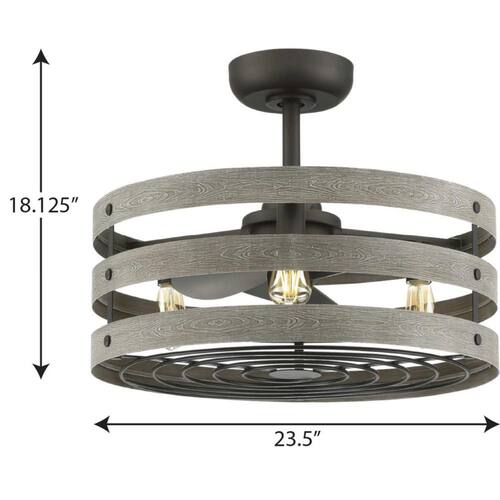 Gulliver 23.5 in. Indoor/Outdoor Graphite Farmhouse Ceiling Fan with 2200K Light Bulbs Included with Remote for Bedroom Ceiling Fans With Lights