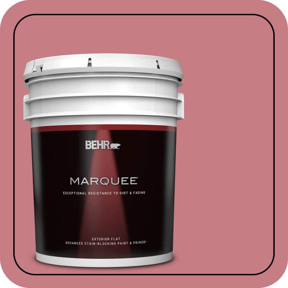 5 gal. #M150-5 Enamored Flat Exterior Paint & Primer product image for price tracking