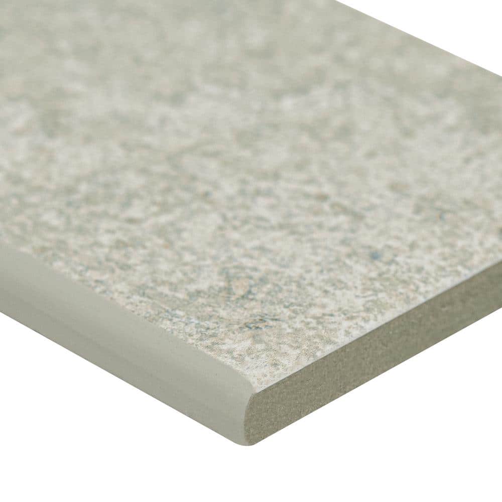 Leighton Moka 3 in. x 12 in.  Matte Porcelain Threshold Tile Trim (48 Linear ft./Case) price history on PriceWatchPro