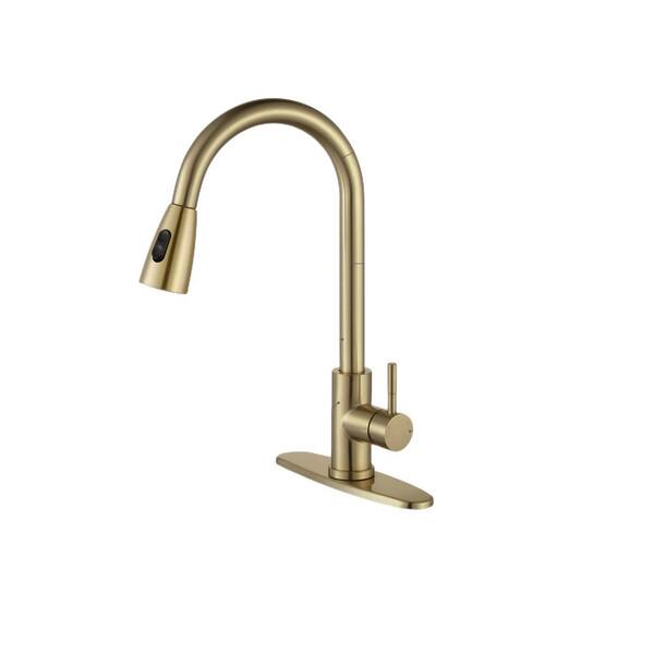 ALEASHA Single Handle Pull Down Sprayer Kitchen Sink Faucet in Gold