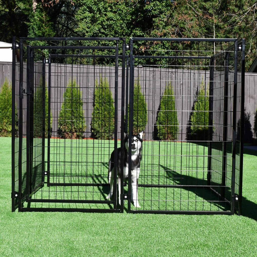 ALEKO Black Heavy Duty Metal Pet Kennel 5x5x4 ft