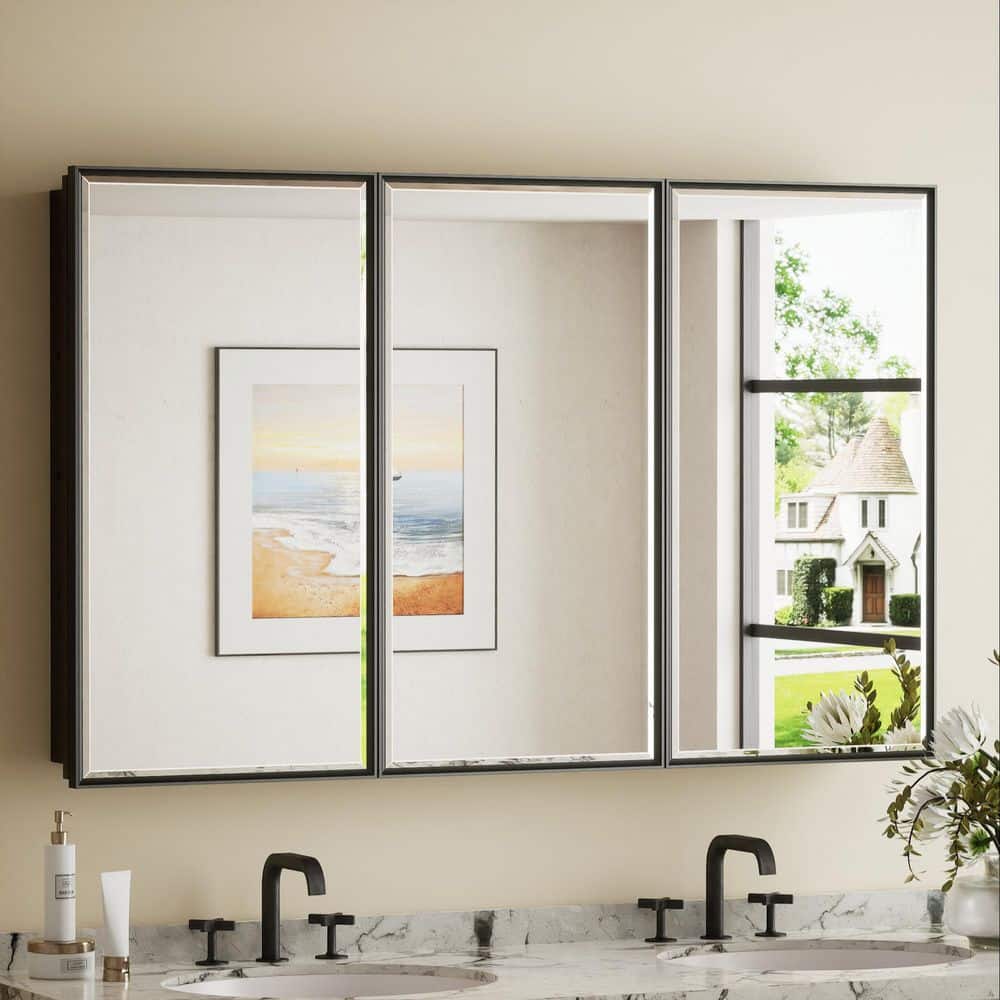 48 in. W x 30 in. H Rectangular Black Metal Framed Beveled Surface Mount/Recessed Medicine Cabinet with Mirror price history on PriceWatchPro