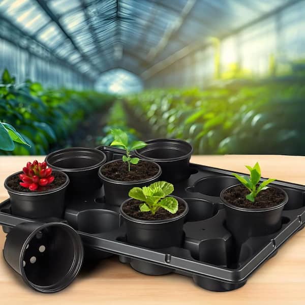 plant pots square plastic Coex Square Pot main image 0