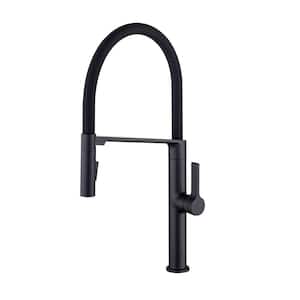 Single Handle Pull Down Sprayer Kitchen Faucet with Magnetic Docking Spray Head in Black