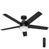 https://images.thdstatic.com/productImages/79e9c7e8-2563-47b4-86c4-a6b0f69a5327/svn/matte-black-hunter-ceiling-fans-with-lights-51314-64_100.jpg