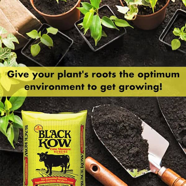 Black Kow 8 qt. Nitrogen Phosphate Composted Cow Manure Plant