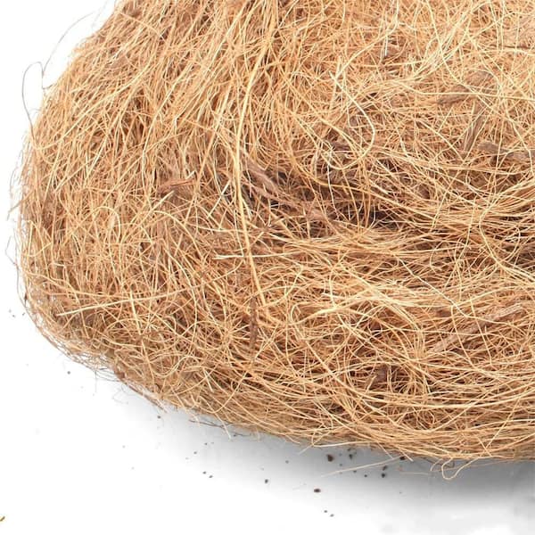 0.66 lb. Long Coconut Husk Mulch Natural Fiber Moss Cover for Plants and Gardens Straw