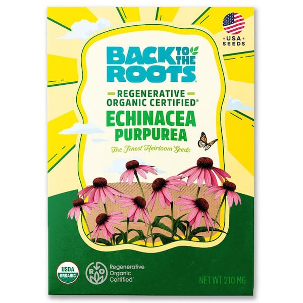 (1-Pack) Organic Regenerative Echinacea Purpurea Seed