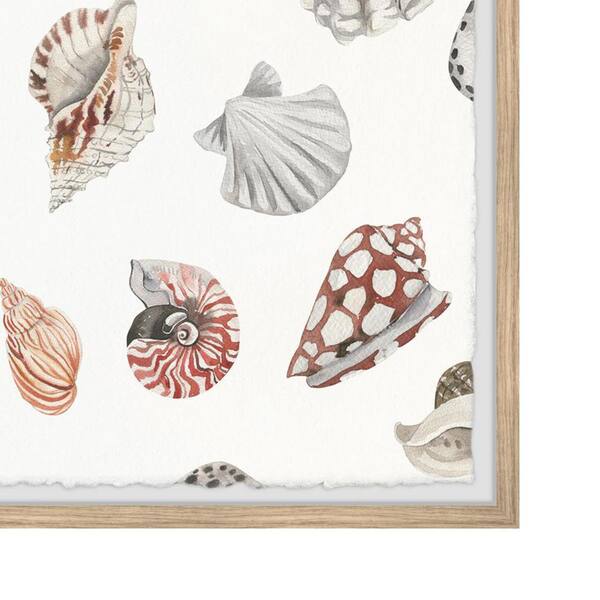 Wall Art Print, Seashells Collection