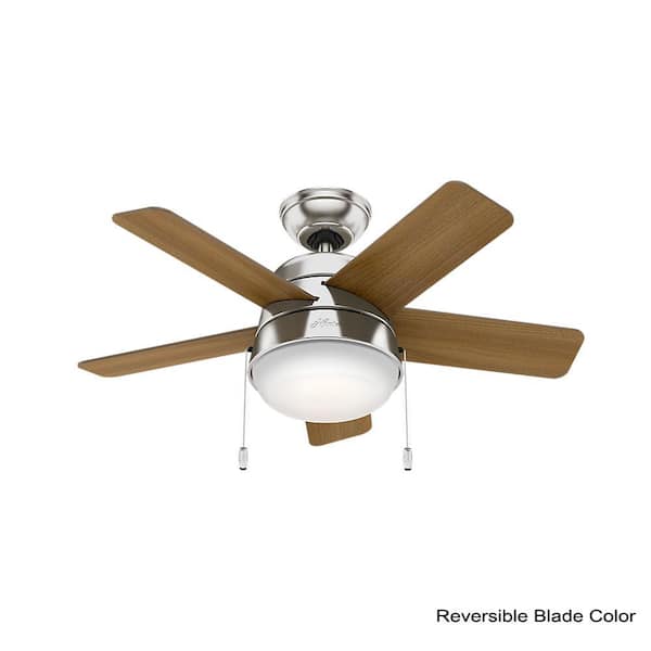 Hunter Tarrant 36 In Led Indoor Brushed Nickel Ceiling Fan 59304 - 36 Inch Ceiling Fan With Light Home Depot