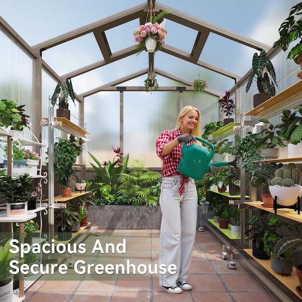 サニーレタスマントルピース Sizzim 6 ft. x 8 ft. Wooden Garden Plant Greenhouse for Outdoors