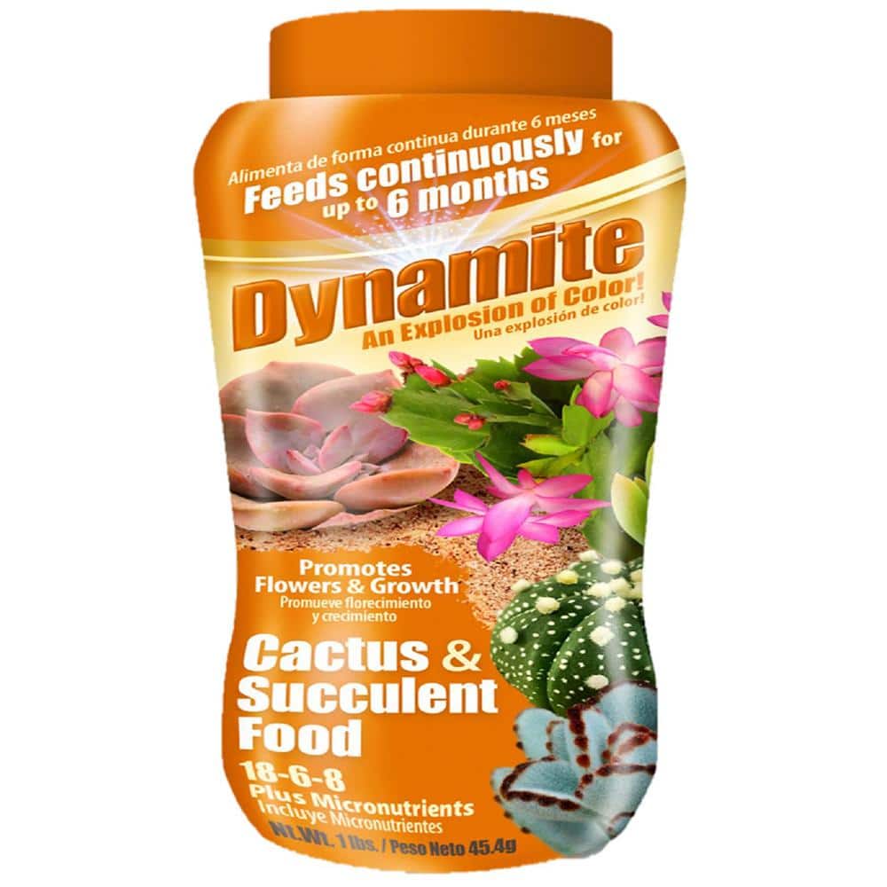 Dynamite Cactus and Succulent Food 1868 100533689 The Home Depot