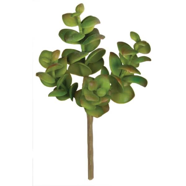 SULLIVANS Artificial 6 in. Green Succulent Pick