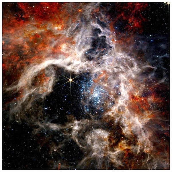 Empire Art Direct in. The Tarantula Nebula in.  Free Floating Reverse Unframed Printed Tempered Art Glass Wall Art 38 in. x 38 in.