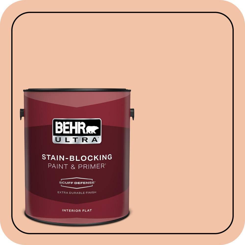 1 gal. Home Decorators Collection #HDC-FL13-4 Pumpkin Mousse Extra Durable Flat Interior Paint & Primer price history on PriceWatchPro