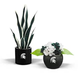 17 in. MSU Spartans Artificial Snake Plant and Hydrangea - Fan-Favorite College University Gift Bundle (2-Pack)