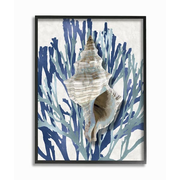 Stupell Industries "Tower Shell Coral Blue Beach Design" by Caroline Kelly Framed Nature Wall Art Print 11 in. x 14 in.