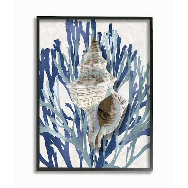 Stupell Industries "Tower Shell Coral Blue Beach Design" by Caroline Kelly Framed Nature Wall Art Print 16 in. x 20 in.