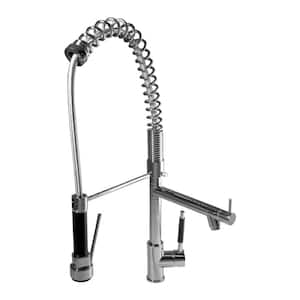 Single-Handle Pull-Down Swivel Spout Sprayer Kitchen Faucet in Chrome