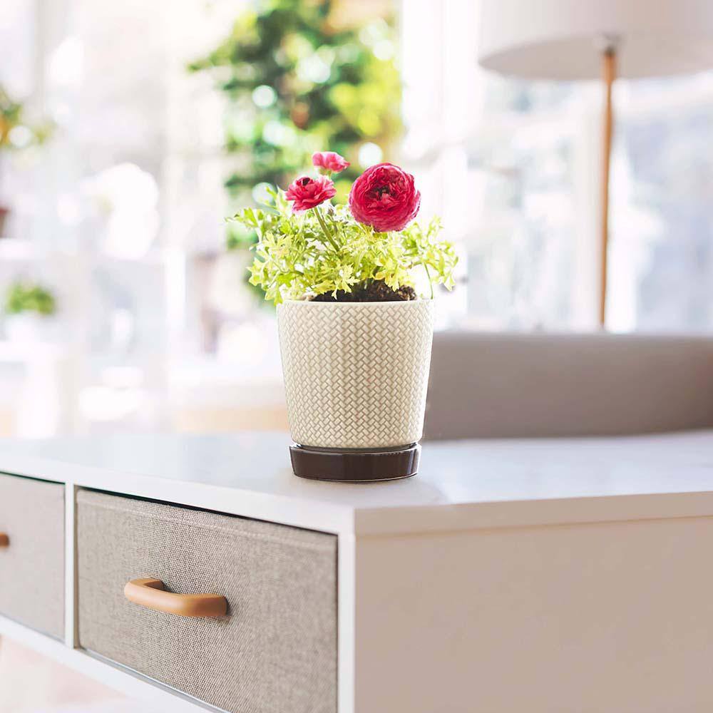 Light Brown and Dark Base Ceramic Pot Planter
