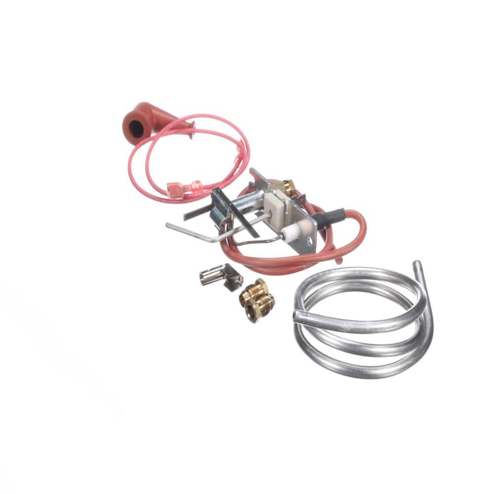 Pilot Burner Ignitor Flame Sensor Natural Gas RZ110861 price history on PriceWatchPro
