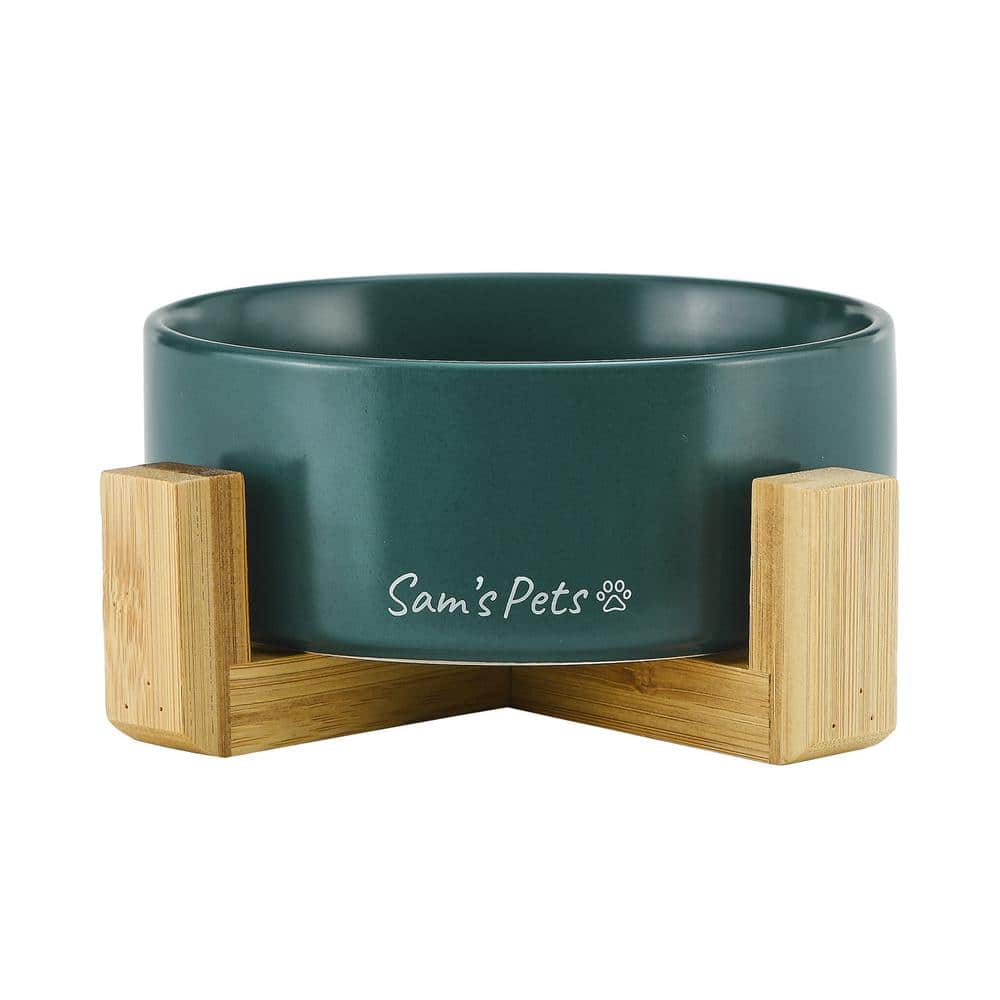 5.11 in. Coco Single Pet Bowl with Wood Stand in Green