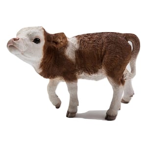 Cow Standing in Brown and White