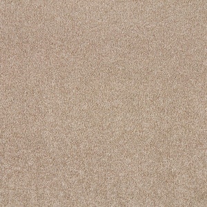 Silver Mane I  - Honeywind - Beige 50 oz. Triexta Texture Installed Carpet