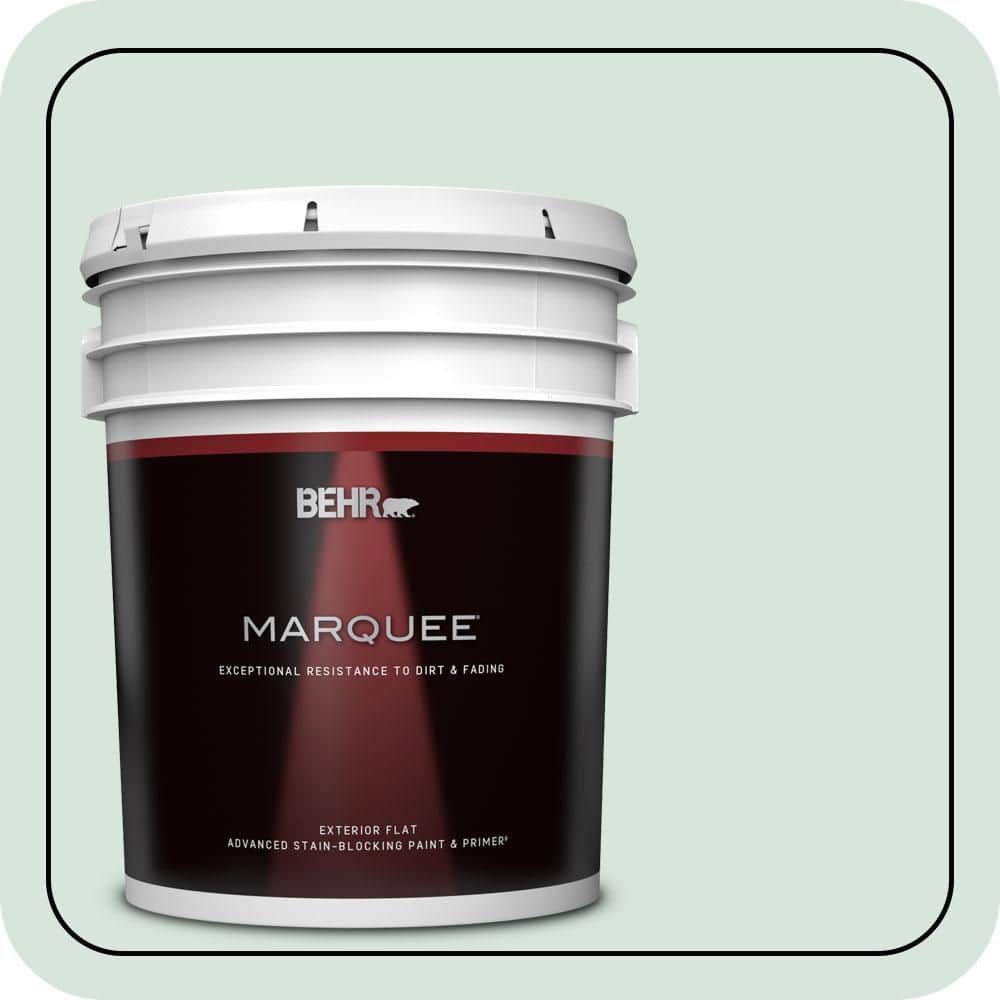 5 gal. #S420-1 New Day Flat Exterior Paint & Primer price history on PriceWatchPro